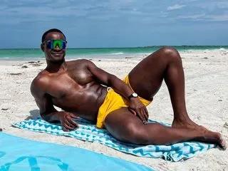 LavanderBrown's avatar