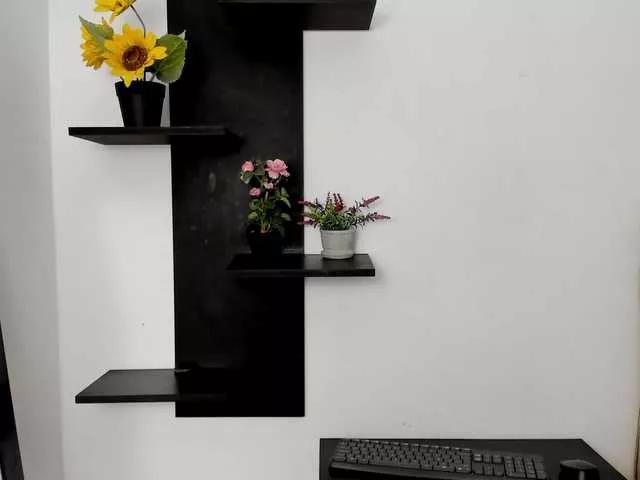 Offline AlexaFoxy18 on BongaCams