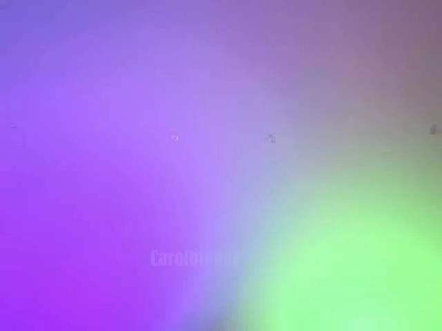 Offline Charlotte-glasses on BongaCams