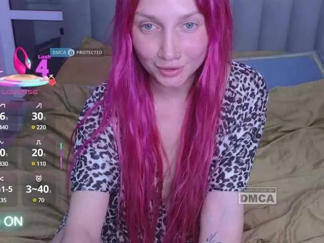 Offline dvenasti on BongaCams