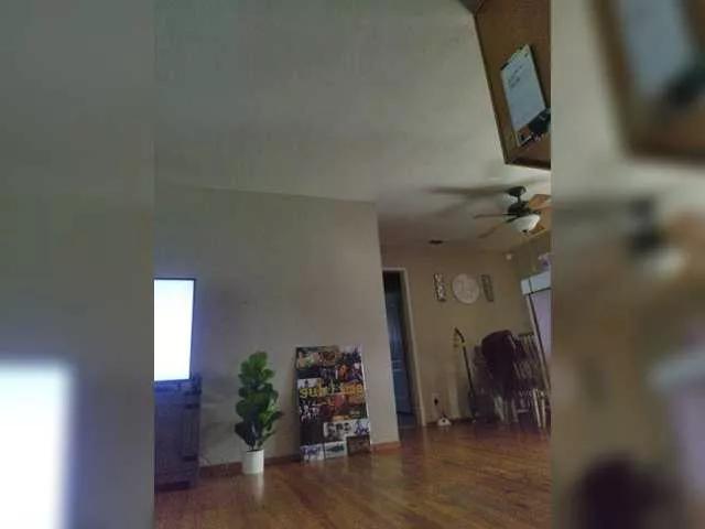 Offline Prurient-Gem on BongaCams