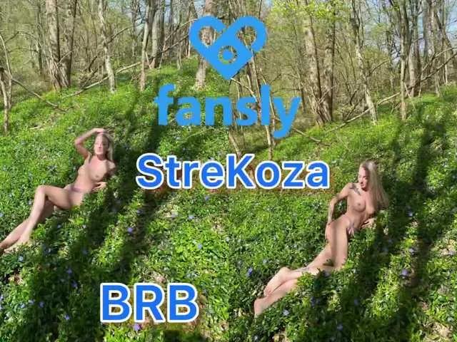 Offline StreKoza on BongaCams