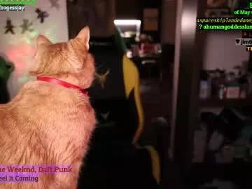 Freechat frogessjay on Chaturbate