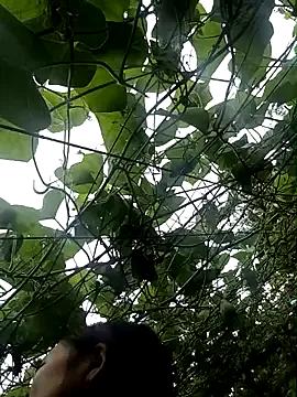 StripChat ngan-cute is Freechat ngan-cute — Show pvt