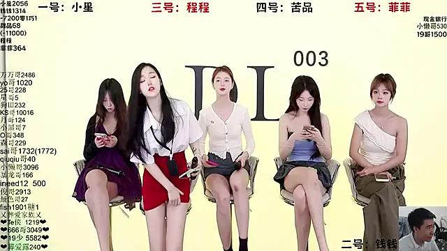 ZZ00033S — Freechat on StripChat